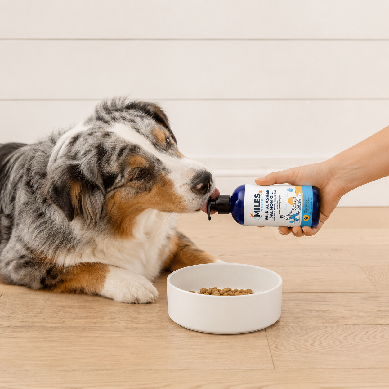 MILES Omega-3 Mobility Oil