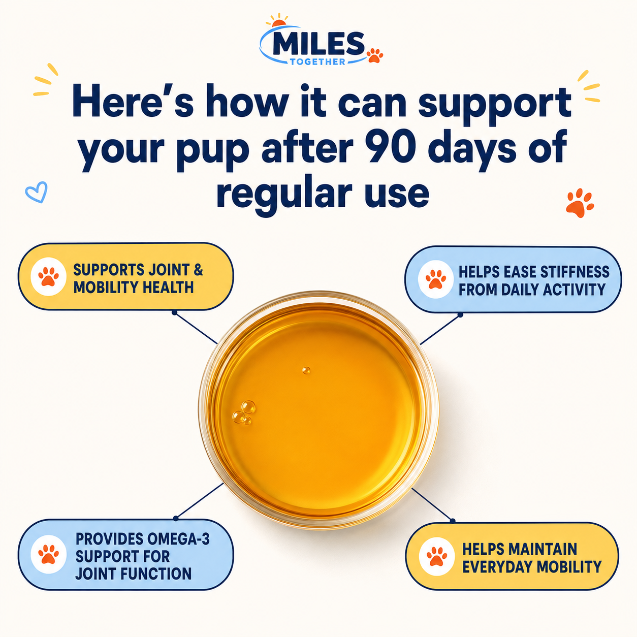MILES Omega-3 Mobility Oil