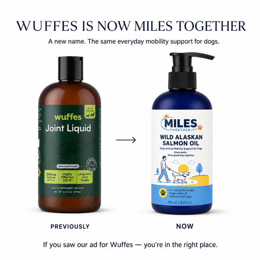 MILES Omega-3 Mobility Oil